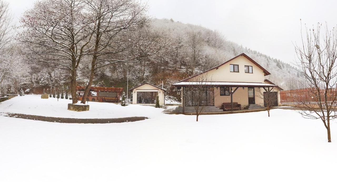 Pensiunea Tudor Breaza Dış mekan fotoğraf