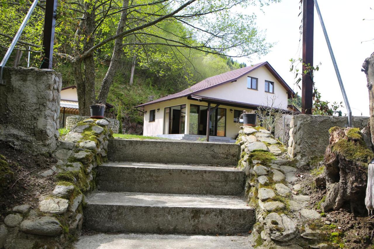 Pensiunea Tudor Breaza Dış mekan fotoğraf